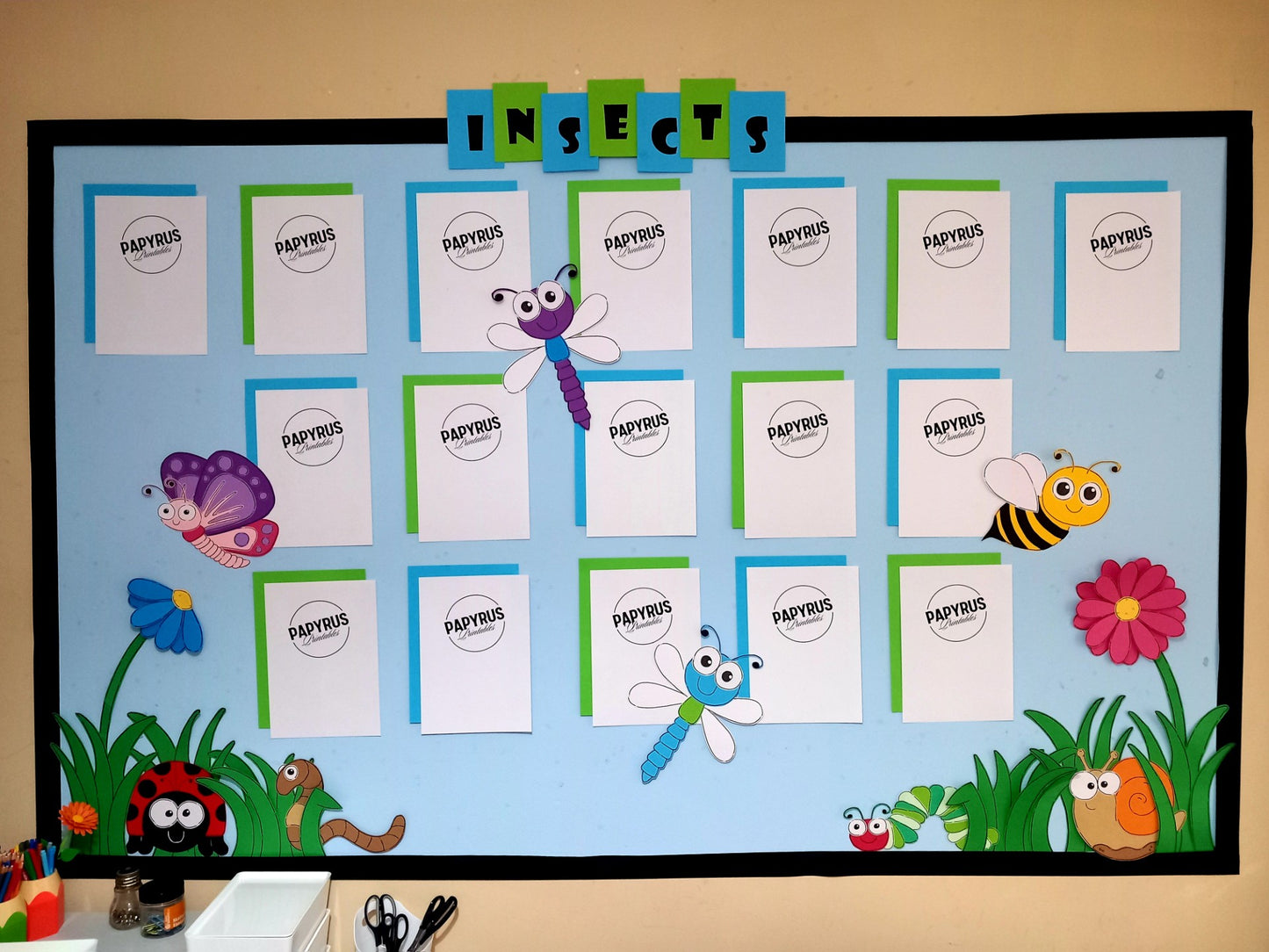 Insects Classroom Display