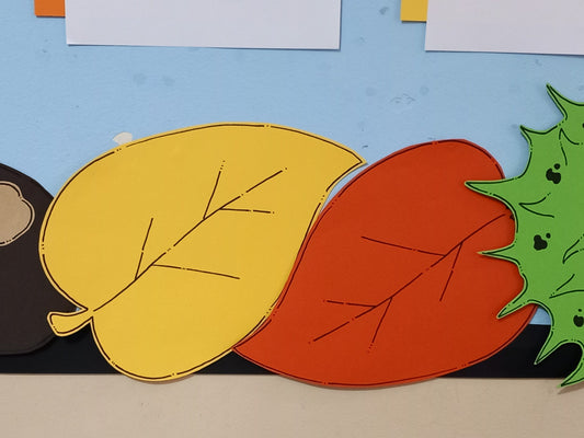 Autumn Display - Conkers