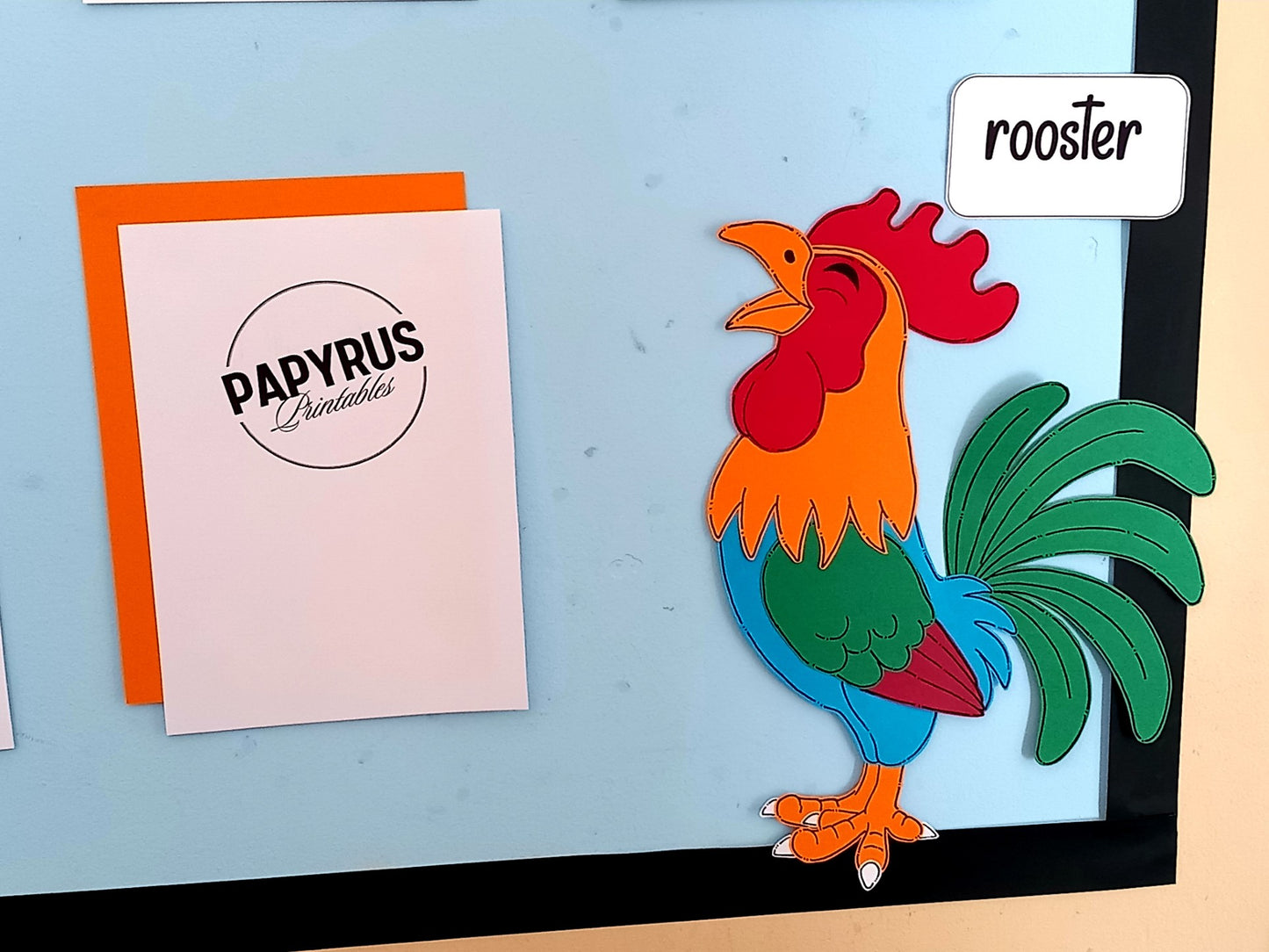 The Life Cycle of a Chicken Display