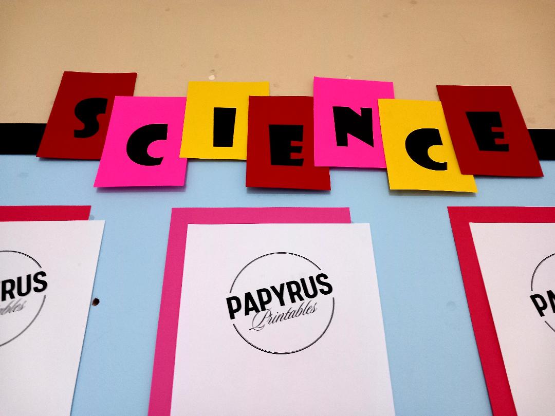 Science Classroom Display (Boy)