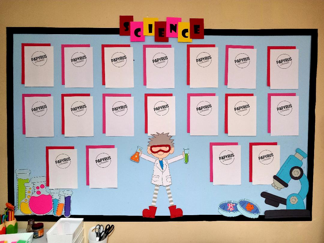 Science Classroom Display (Boy)