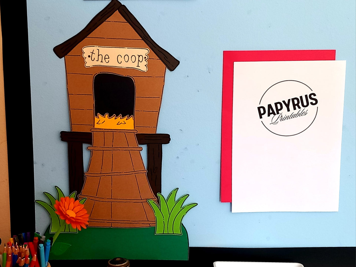 The Life Cycle of a Chicken Display