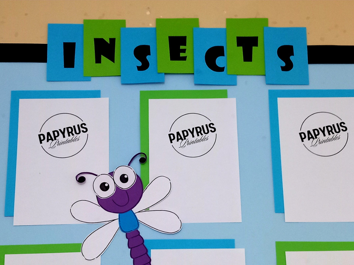 Insects Classroom Display