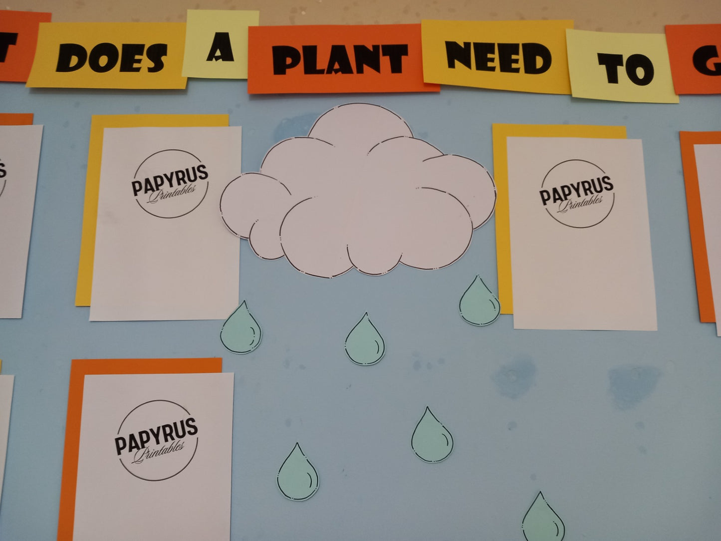What Does a Plant Need to Grow? Display