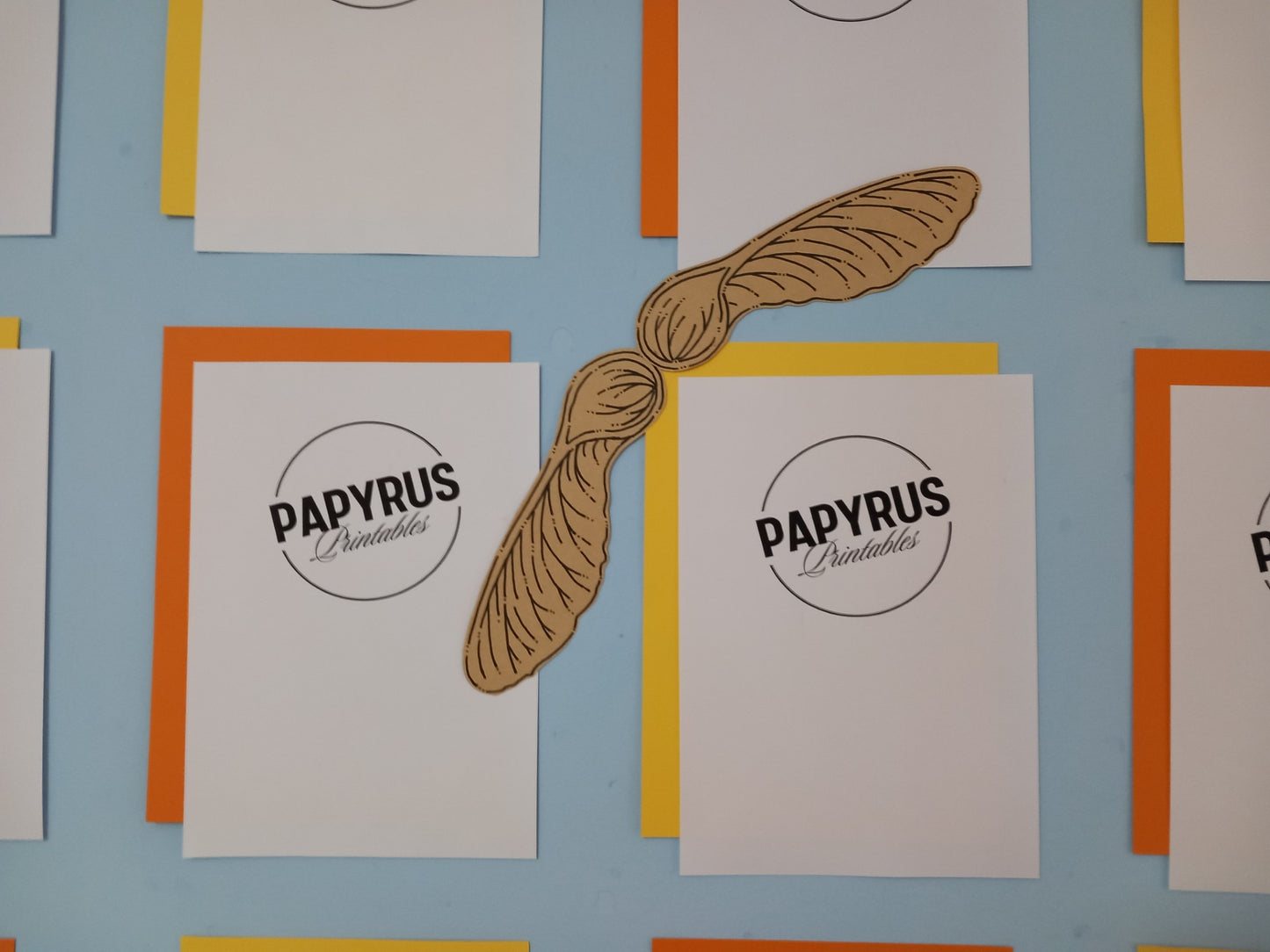 Autumn Display - Conkers