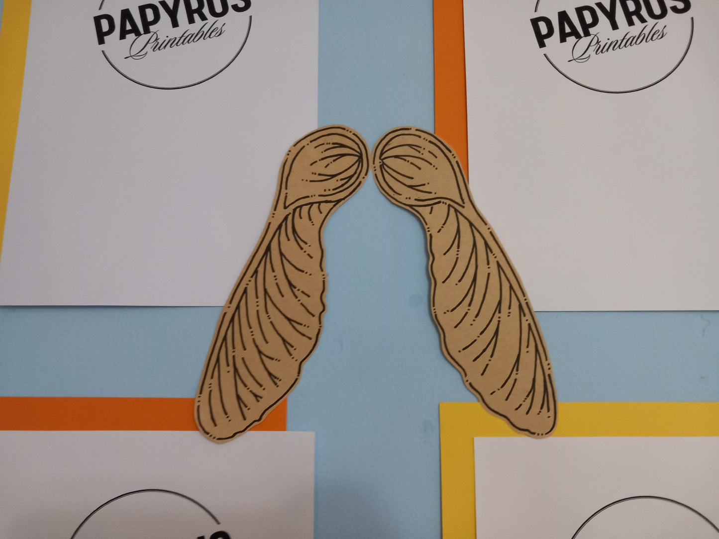 Autumn Display - Conkers