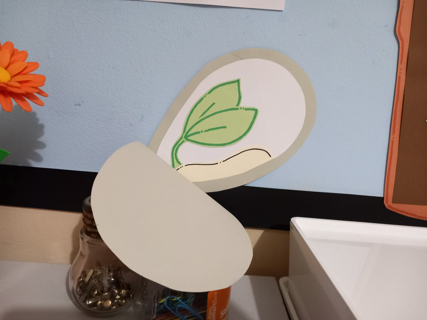 What Does a Plant Need to Grow? Display