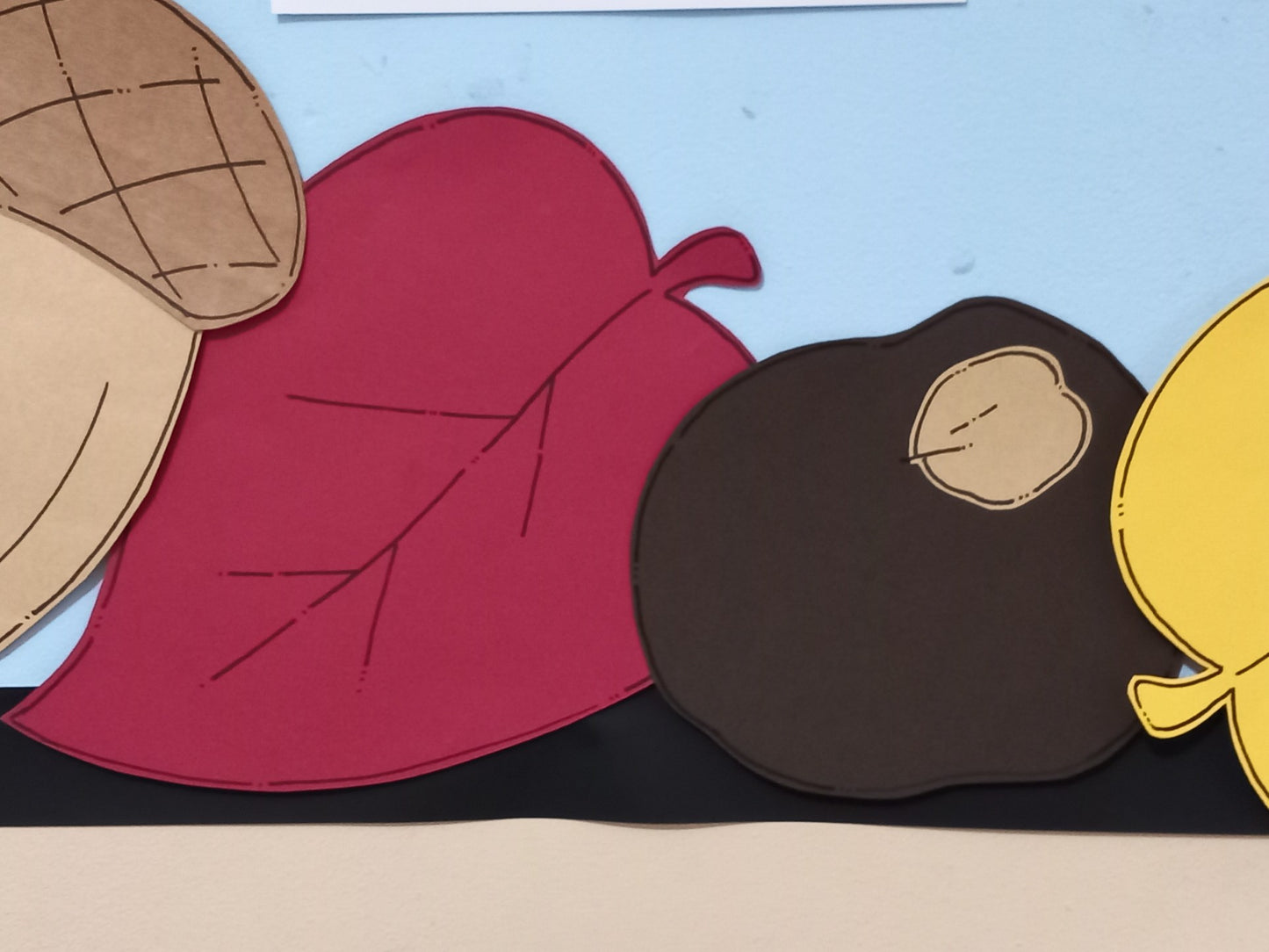 Autumn Display - Conkers