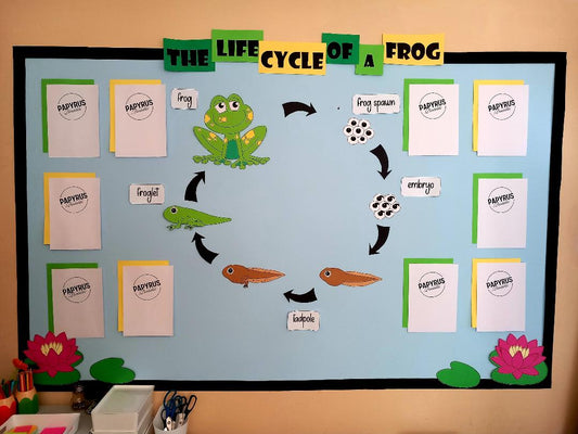 The Life Cycle of a Frog (LILYPADS)