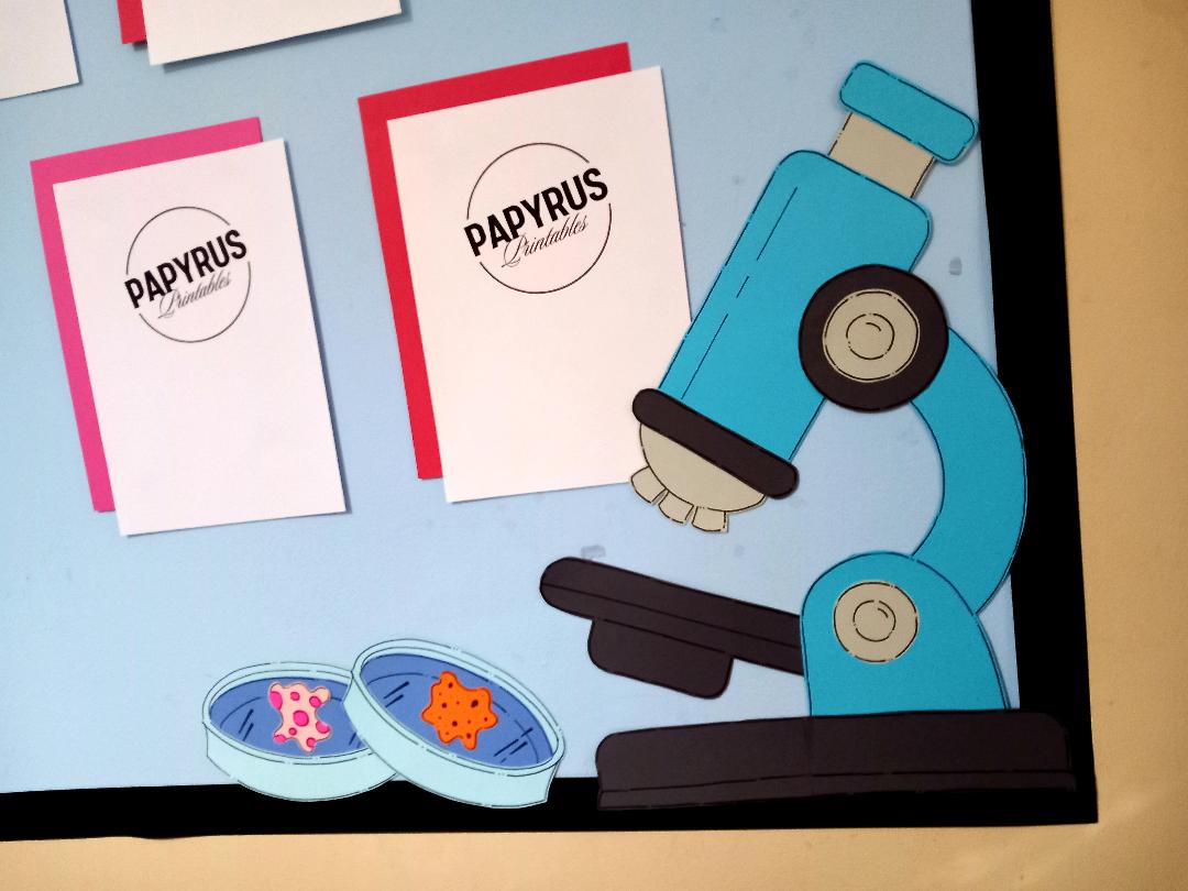 Science Classroom Display (Girl)