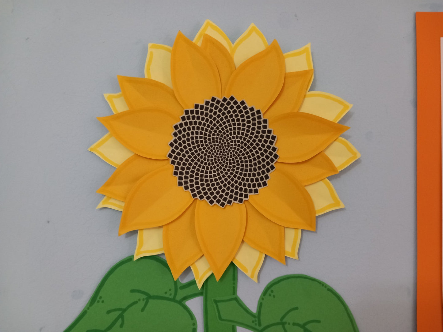 What Does a Plant Need to Grow? Display