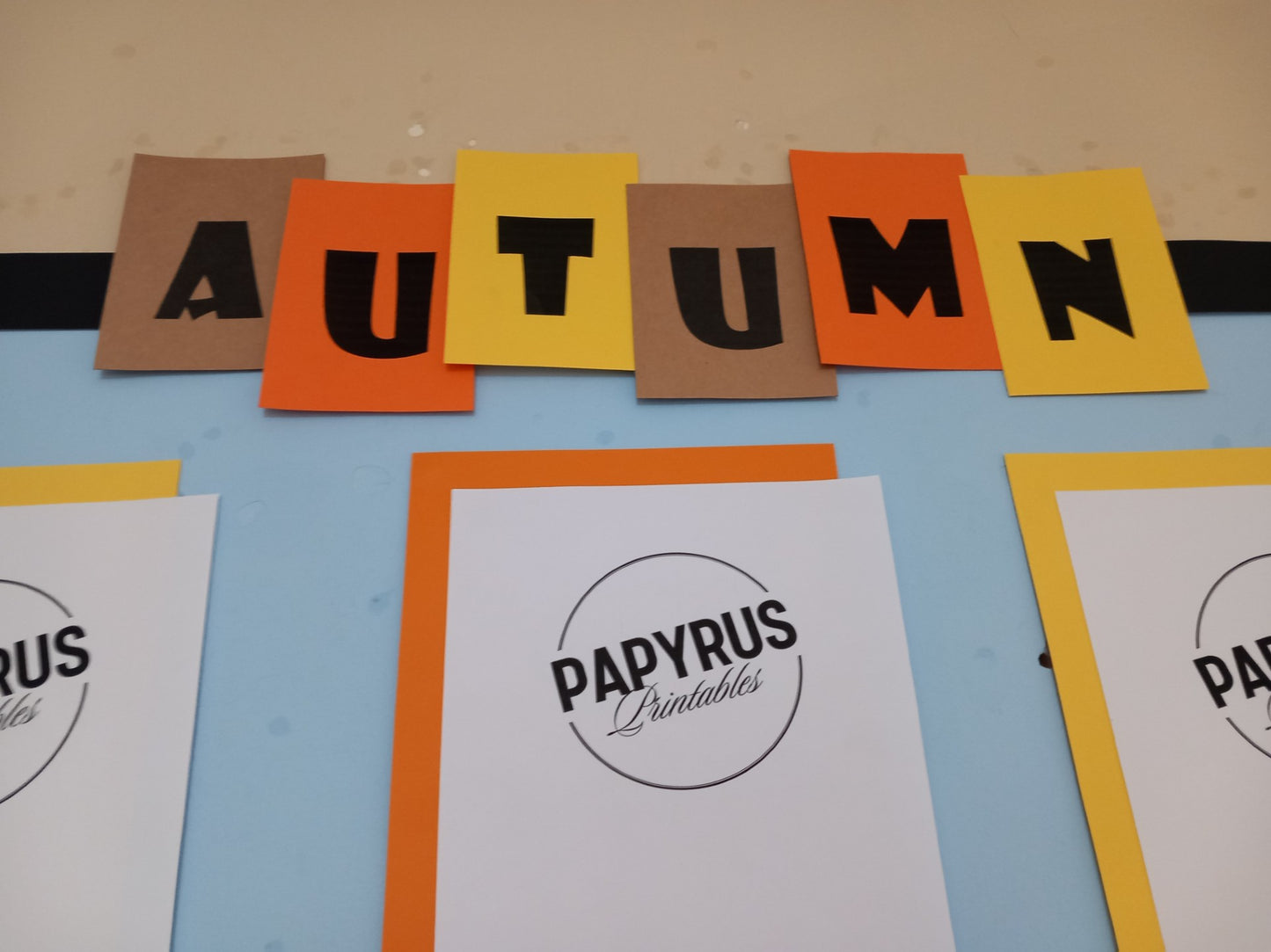 Autumn Display - Conkers