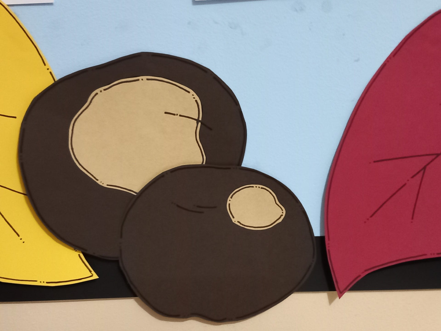 Autumn Display - Conkers