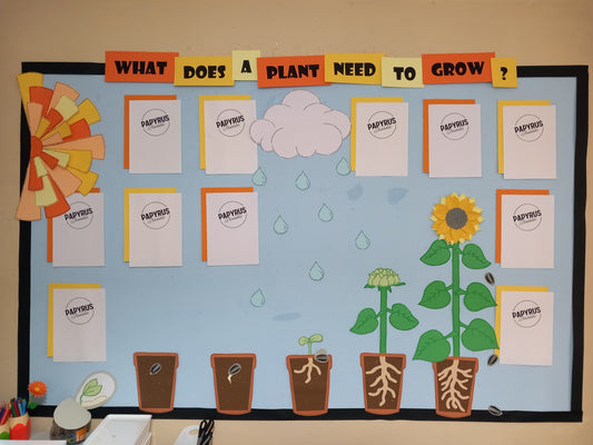 What Does a Plant Need to Grow? Display